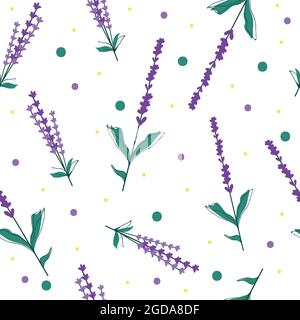 Lavender flowers and colored dots on a transparent background Stock Vector