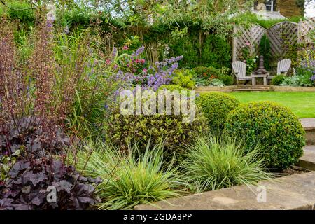 Colourful landscaped private garden in summer (contemporary design, buxus balls, border, raised beds, adirondack chairs, lawn) - Yorkshire England UK. Stock Photo