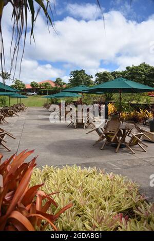 Oahu HI U.S.A. 6/3&6/2021. Dole Plantation. Gardens. Pineapple Express Train. Maze. Gift shop. Tasty pineapple swirl. ADA friendly Stock Photo