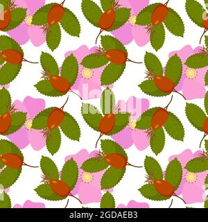 Rosehip rose canina pattern flowers fruit with leaves, berries. On white background. Vector illustration Stock Vector