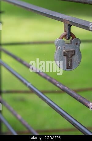 Scampston, Malton, North Yorkshire, UK, 07 July 2021 - Grey metal paddlock on a steel gate with green background. Stock Photo