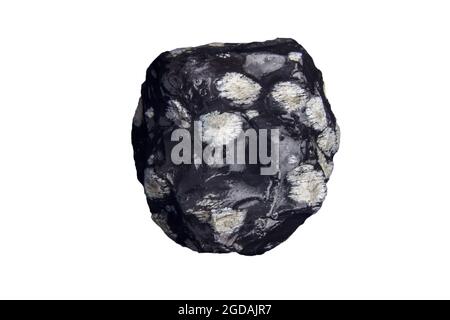 raw unpolished snowflake obsidian isolated on a white background Stock Photo