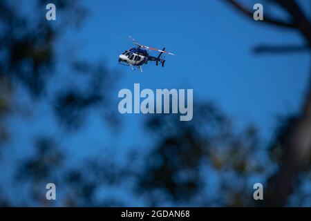 New South Wales Police Force, Polair 1, Police helicopter through   gumtrees