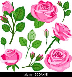Beautiful set of pink roses flowers buds and branches Stock Vector