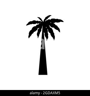 tropical palm trees with leaves, mature and young plants, black silhouettes isolated on white background Stock Vector