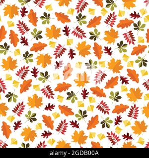 Chestnut, maple, oak, ash and gingko leaves on a transparent background. Leaves are colored in two shades of the same color. Stock Vector