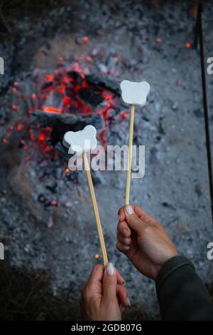 Marshmallows are fried on skewers over a fire. Fried marshmallows with an open flame on a skewer. Campfire romance, summer evening. View from above Stock Photo