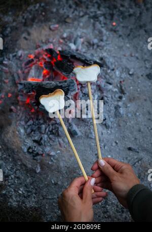 Marshmallows are fried on skewers over a fire. Fried marshmallows with an open flame on a skewer. Campfire romance, summer evening. View from above Stock Photo