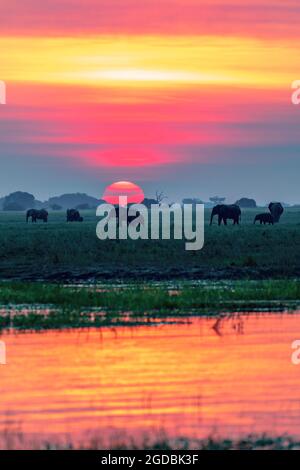 Sundown over the Chobe River Stock Photo