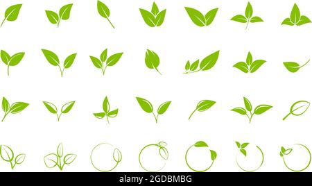 collection of green leaves, design elements for logos or symbols, vector illustration icon set Stock Vector