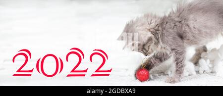 Banner with the New Year 2022 with a kitten on a white background in a snow. The kitten plays with a red Christmas ball Stock Photo