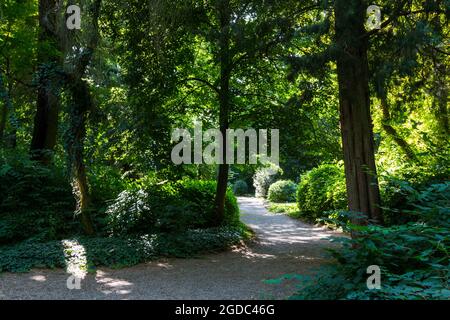 Footpath in Sarvar arboretum, Sarvar, Hungary Stock Photo