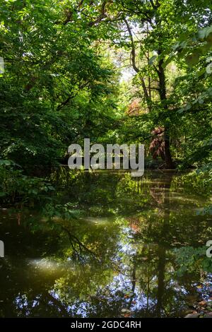Sarvar arboretum, Sarvar, Hungary Stock Photo