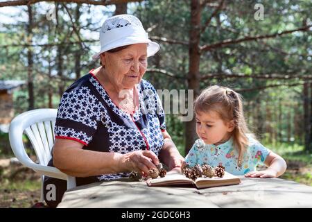 Infant girl with field flowers in hands sitting on wooden table close to her grandmother, summer forest Stock Photo