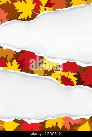 Ripped paper with autumn leaves. Illustration of torn paper with autumn leaves. Place for your image or text. Vector available. Stock Vector
