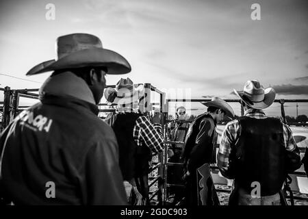 Cowboys, during the rodeo circuit in the new arena El Shejon with the participation of the brands Corona Buckles, Sonora Saddlery and Cas Cov Rodeo on July 17, 2021 in Carbo, Mexico. Cowboys sport, horse riding and Bull riding, a strong circuit in Chihuahua, followed by Sonora and Baja California Mex. and neighboring US states. Rodeo is a traditional American extreme sport influenced by the history of Spanish cowboys and Mexican charros. It consists of riding wild colts or wild cattle (such as steers and bulls) bareback and performing various exercises, such as throwing the lasso, rejonear, Stock Photo