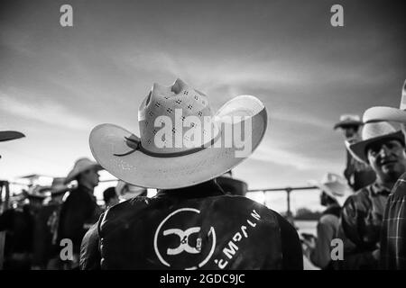 Cowboys, during the rodeo circuit in the new arena El Shejon with the participation of the brands Corona Buckles, Sonora Saddlery and Cas Cov Rodeo on July 17, 2021 in Carbo, Mexico. Cowboys sport, horse riding and Bull riding, a strong circuit in Chihuahua, followed by Sonora and Baja California Mex. and neighboring US states. Rodeo is a traditional American extreme sport influenced by the history of Spanish cowboys and Mexican charros. It consists of riding wild colts or wild cattle (such as steers and bulls) bareback and performing various exercises, such as throwing the lasso, rejonear, Stock Photo