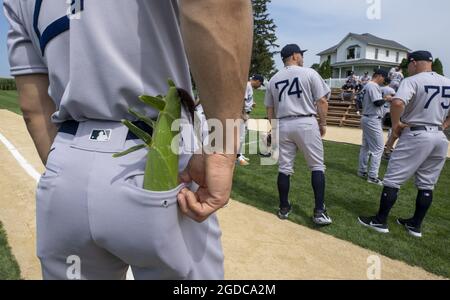 Dyersville, United States. 12th Aug, 2021. New York Yankees star Giancarlo Stanton carries an ear of corn in his back pocket as he and teams admire the 1989 movie set ballpark of the 'Field of Dreams', as he and his teammates get ready for game at an adjacent MLB Field of Dreams cornfield ballpark in Dyersville, Iowa on Thursday, August 12, 2021. The New York Yankees and Chicago White Sox will play the first MLB regular season game in Iowa. Photo by Pat Benic/UPI Credit: UPI/Alamy Live News Stock Photo