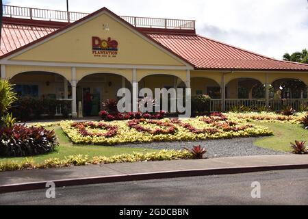 Oahu HI U.S.A. 6/3&6/2021. Dole Plantation. Gardens. Pineapple Express Train. Maze. Gift shop. Tasty pineapple swirl. ADA friendly Stock Photo