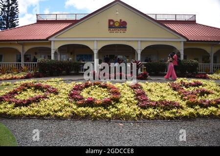 Oahu HI U.S.A. 6/3&6/2021. Dole Plantation. Gardens. Pineapple Express Train. Maze. Gift shop. Tasty pineapple swirl. ADA friendly Stock Photo