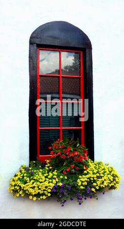 Arched black and red window sits on a white wall.  Flower box overflows with blooming flowers. Stock Photo