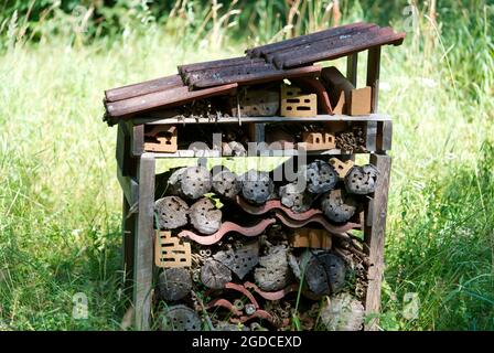 Big mosquito hotel or anthill in the woods made by human. Stock Photo