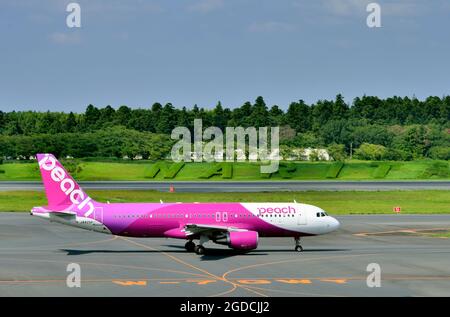 Peach Aviation, Airbus, A320 CEO, JA825, Taxi to TO, Narita Sign Behind, Tokyo Narita Airport, Chiba, Japan