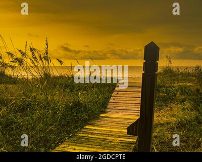 Daybreak golden hour on a barrier island with a wooden path over the sand dunes. Stock Photo