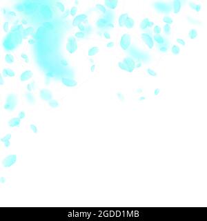 Turquoise flower petals falling down. Comely romantic flowers falling rain. Flying petal on white square background. Love, romance concept. Beautiful Stock Vector