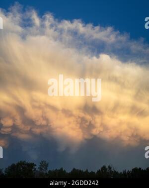 Sunlit cumulonimbus storm cloud above mammatus clouds in Calgary, Canada Stock Photo