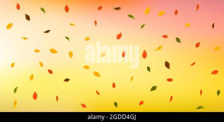 Falling autumn leaves. Red, yellow, green, brown random leaves flying. Falling rain colorful foliage on lovely sunset background. Captivating back to Stock Vector