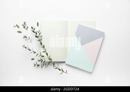 Notebook with eucalyptus branches on white background Stock Photo