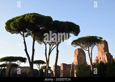 Thermae Antoninianae - Baths of Caracalla in Rome, Italy Stock Photo