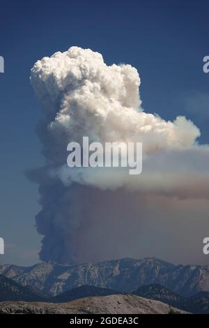 Flammagenitus (pyrocumulus) cloud from Schneider Springs wildfire in Washington state, USA, August 2021 Stock Photo