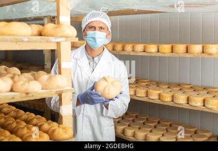 Cheesemaker in mask controlling maturing process of cheese wheels Stock ...