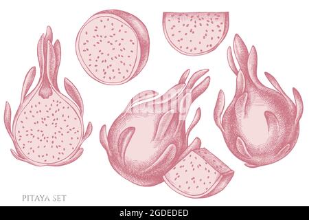 Vector set of hand drawn pastel pitaya Stock Vector