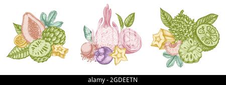 Composition design of pastel papaya, guava, passion fruit, starfruit, durian, rambutan, pitaya, jackfruit, sugar-apple, soursop, mangosteen Stock Vector