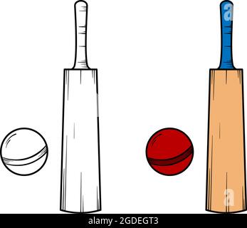 Cricket hand drawn illustration sketch and color Stock Vector
