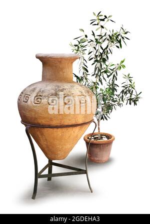 Old Greek amphora terracotta clay pot with olive tree, isolated on white background, drop shadow Stock Photo