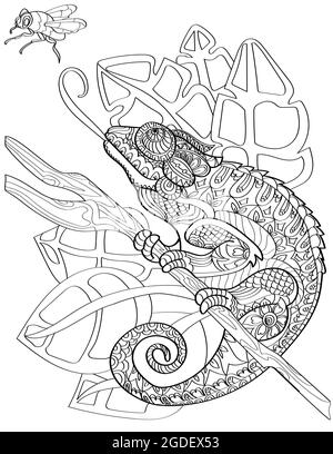 Large Chameleon On End Of Stick Sticking Out Tongue To Reach Fly Colorless Line Drawing. Huge Lizard Catching Insect Coloring Book Page. Stock Vector