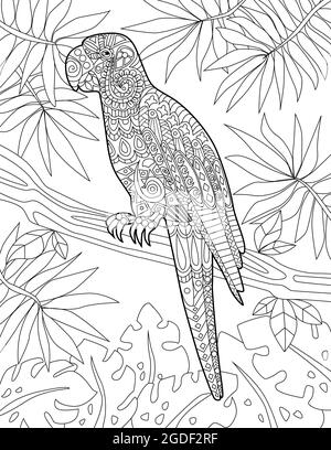 Parrot Resting On A Tree Branch With Leafy Brackground Colorless Line Drawing. Cockatoo Standing On Branches In Forest Coloring Book Page. Stock Vector