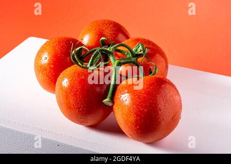Photograph of a branch of five wet natural tomatoes on a white table and a red background.The photo is taken in horizontal format. Stock Photo