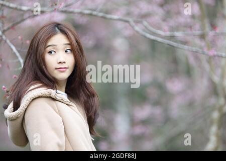 beautiful asian young woman in blooming cherry blossoms sakura Stock Photo