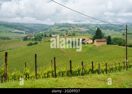 Rural landscape in Monferrato, Unesco World Heritage Site. Vineyard near Mombaruzzo, Asti province, Piedmont, Italy Stock Photo