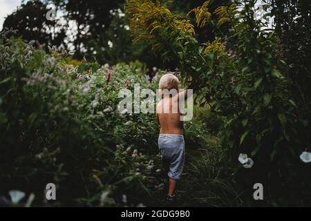 Back view of boy walking on hiking trail among green plants in summer Stock Photo