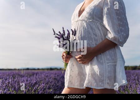 Close-up shot of a pregnant woman's belly holding a bouquet of lavender flowers. Stock Photo