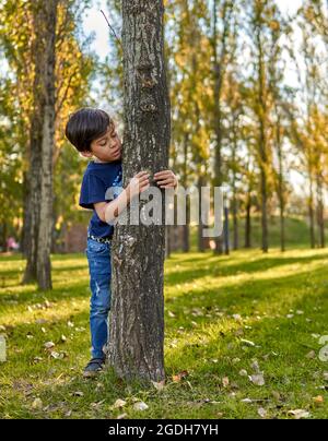 Brunette child playing in the forest in autumn hugging a tree. blurred background, vertical and copy space