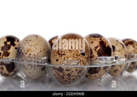Several fresh quail eggs in a plastic box, close-up, isolated on white. Stock Photo