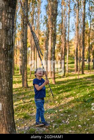 hispanic boy playing alone looking up holding a tree branch in the middle of the forest. fall time. unfocused background. vertical Stock Photo