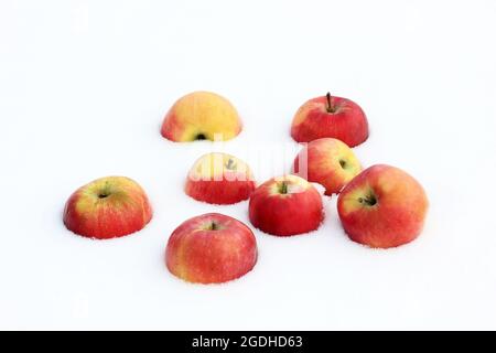 Red apples in the snow Stock Photo